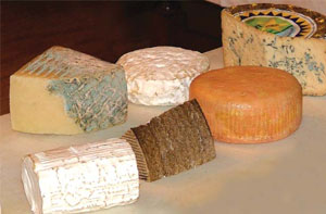 Various Spanish Cheeses