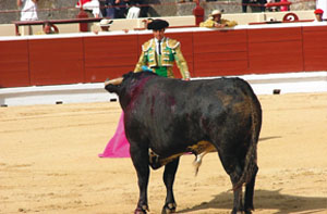 bullfighting-spain2