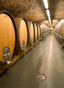 Weingut Stadt     Krems cellar