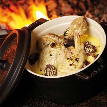 poulet-au-vin-jaune-et-morilles