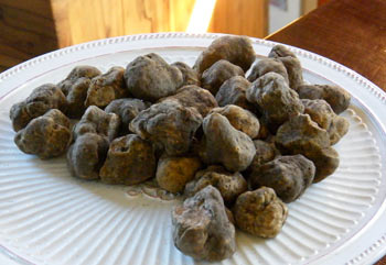 umbria-truffles_3
