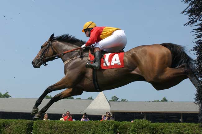 saratoga20102