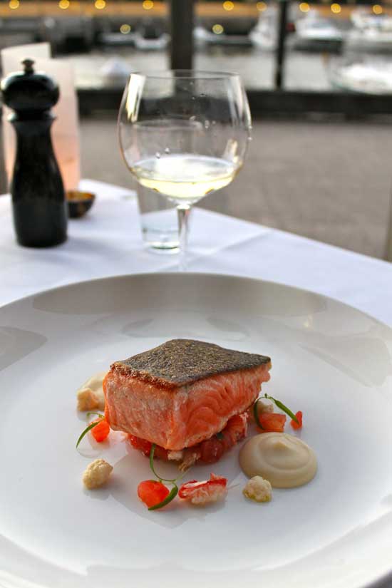 Manta_salmon