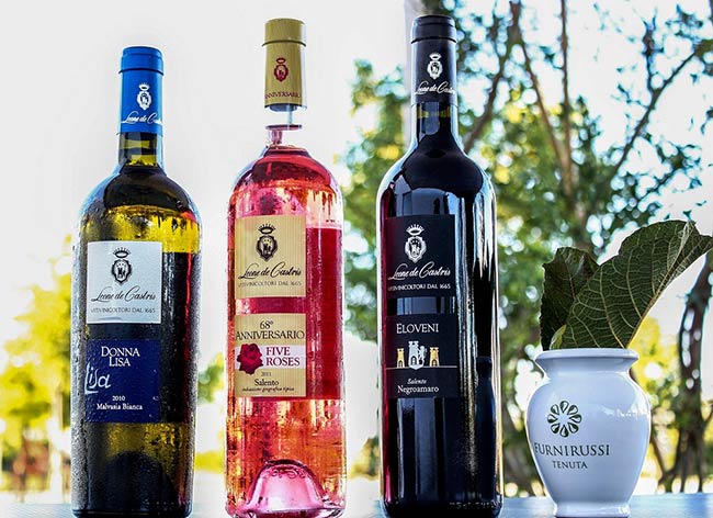 Furnirussi_Wines