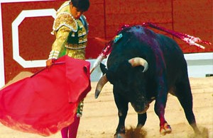 bullfighting-spain