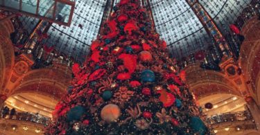 Christmas Tree on display at Galleries Lafayette PARIS